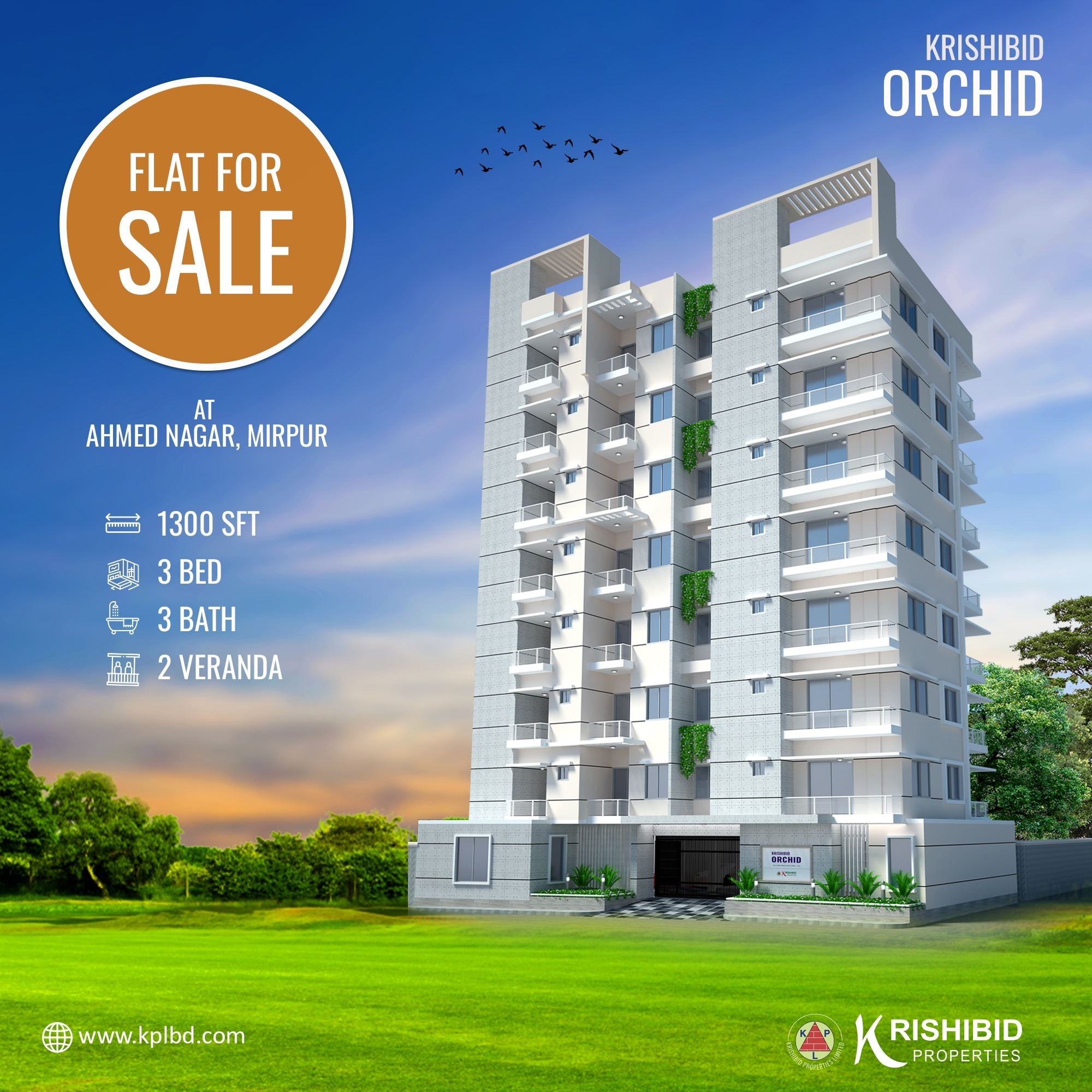 Krishhibid Orchid - KPL